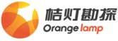Orange lamp logo